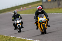 PJ-Motorsport-2019;anglesey-no-limits-trackday;anglesey-photographs;anglesey-trackday-photographs;enduro-digital-images;event-digital-images;eventdigitalimages;no-limits-trackdays;peter-wileman-photography;racing-digital-images;trac-mon;trackday-digital-images;trackday-photos;ty-croes